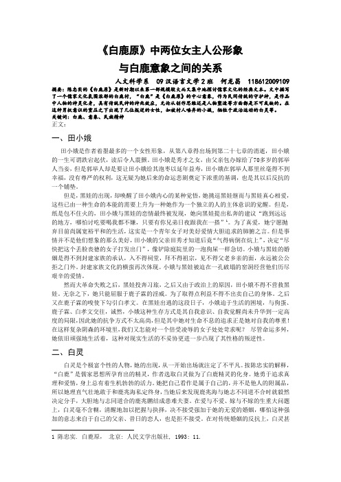 白鹿原论文