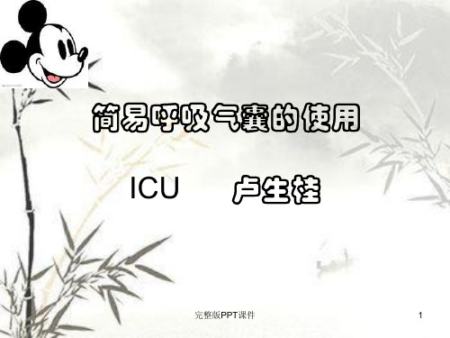 简易呼吸气囊ppt课件