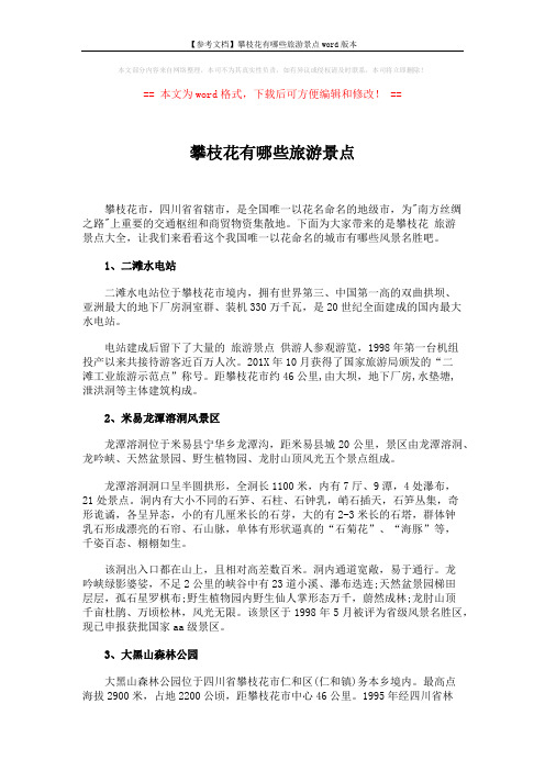 【参考文档】攀枝花有哪些旅游景点word版本 (3页)