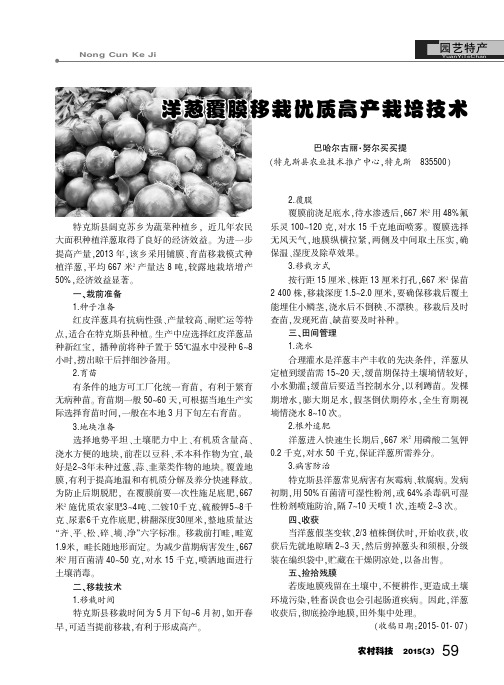 洋葱覆膜移栽优质高产栽培技术