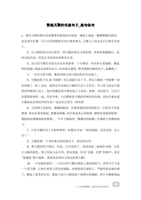 赞美天鹅的优美句子-美句佳句