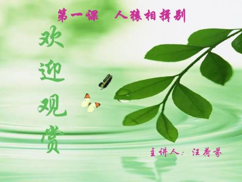 【初中历史】人猿相揖别PPT课件3