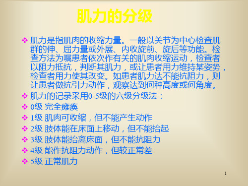 肌力的分级ppt课件