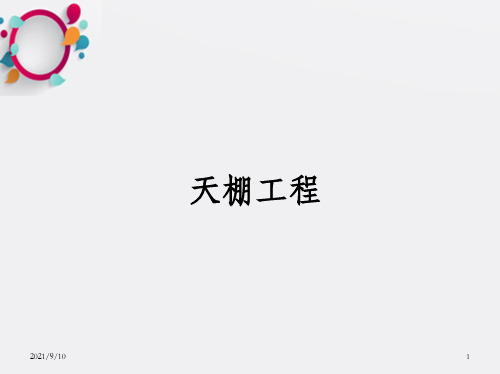 建筑装饰工程分部分项工程量——天棚工程方案