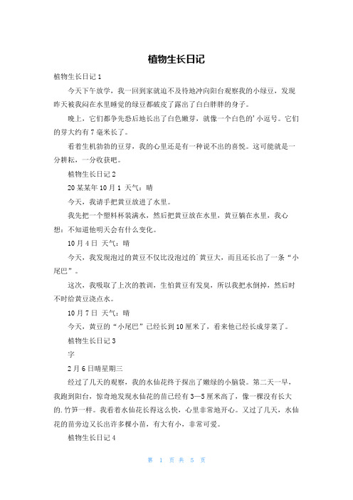 植物生长日记