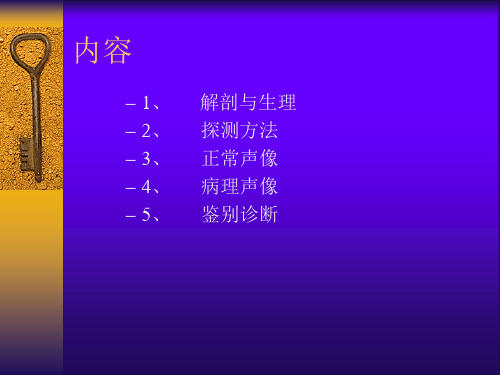 胰腺的超声诊断学