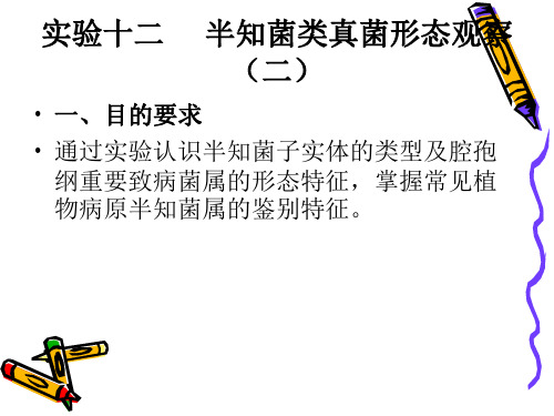 实验十二半知菌类真菌形态观察(二)