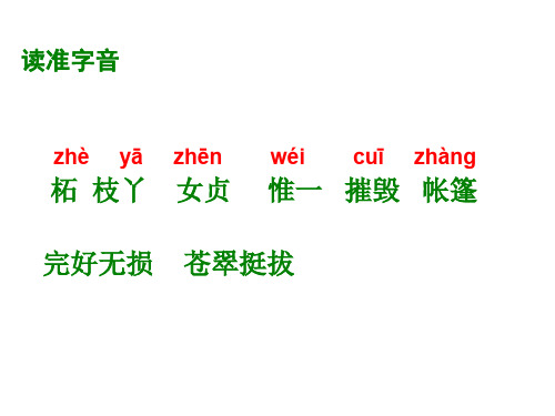 六年级语文山谷中的谜底