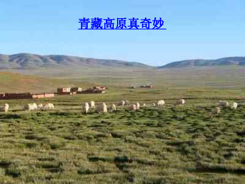 大气压和人类生活PPT教学课件(1)