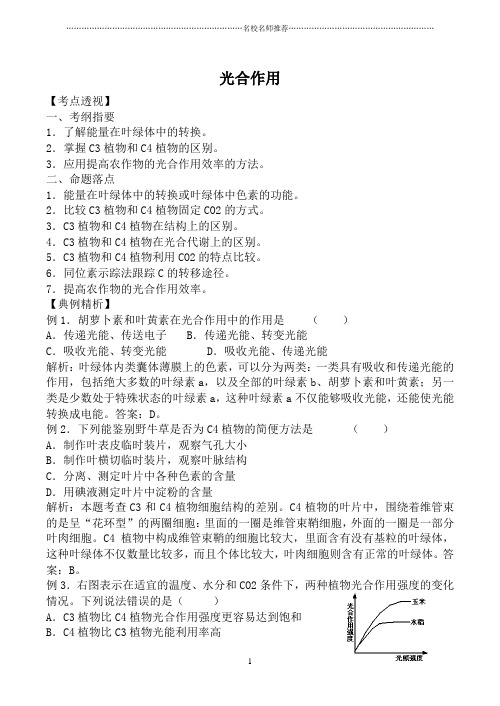 苏教版必修1高中生物光合作用名师精选教案