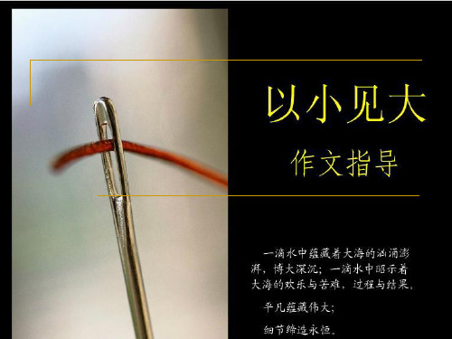 初中语文作文课以小见大模板精品PPT课件