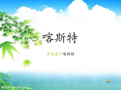 喀斯特Microsoft PowerPoint 演示文稿