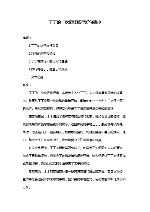 丁丁的一次奇怪旅行好句摘抄