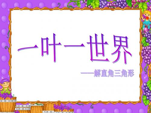 《解直角三角形》课件6(浙教版九年级下)
