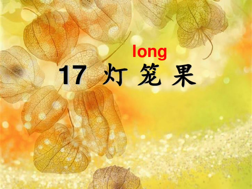 二年级语文17灯笼果