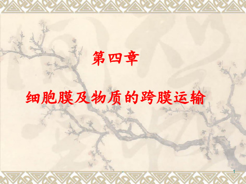 第四章-细胞膜PPT课件