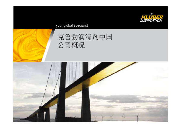 1-克鲁勃公司介绍