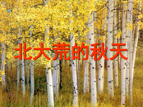 北大荒的秋天第一课时PPT课件