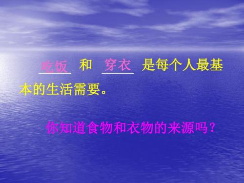我们的衣食哪里来