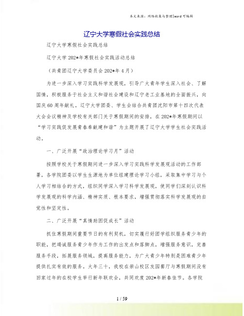 辽宁大学寒假社会实践总结