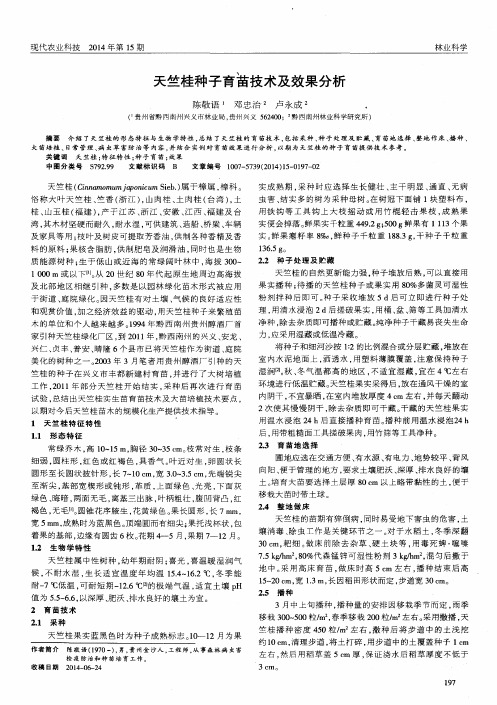 天竺桂种子育苗技术及效果分析