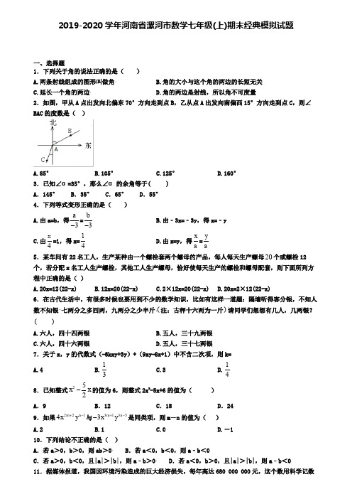 2019-2020学年河南省漯河市数学七年级(上)期末经典模拟试题
