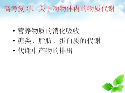 高考复习：关于动物体内的物质代谢ppt课件(自制) 通用