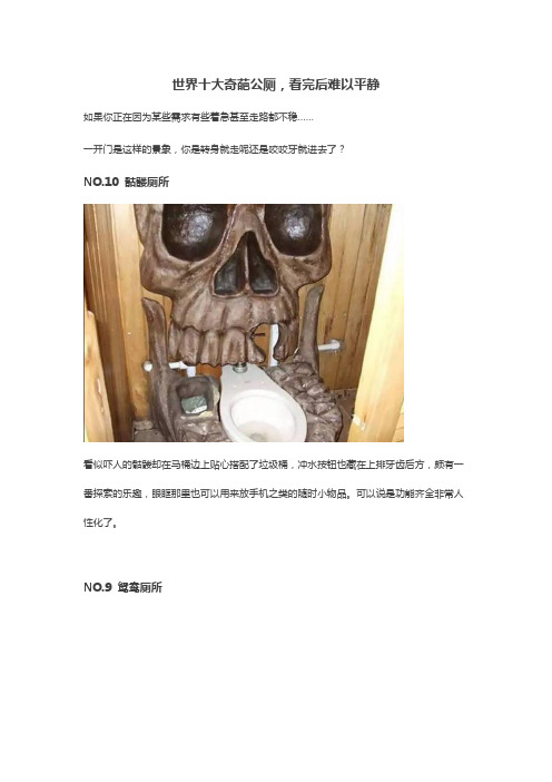 世界十大奇葩公厕,看完后难以平静