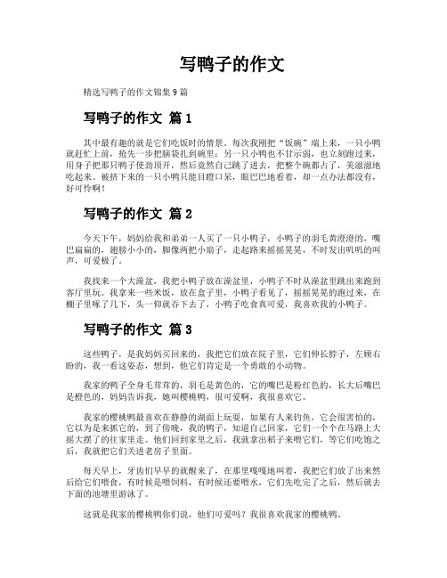 写鸭子的作文7