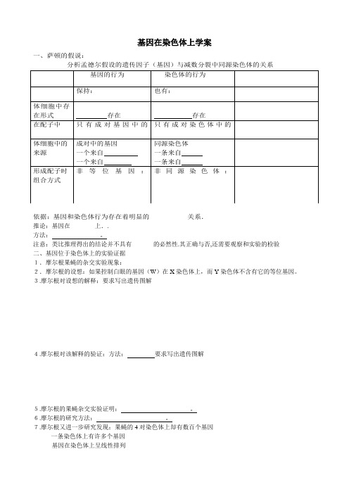 基因在染色体上学案