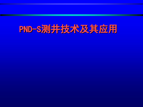 PND测井技术解读