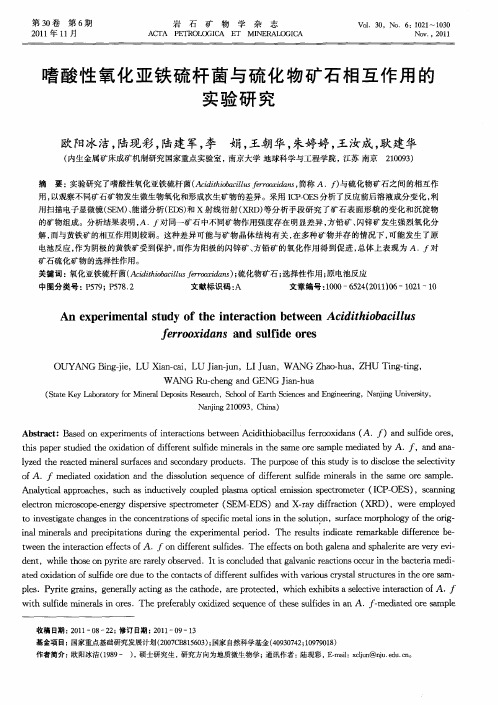 嗜酸性氧化亚铁硫杆菌与硫化物矿石相互作用的实验研究
