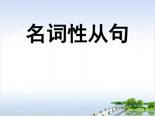 高考英语语法一轮复习名词性从句课件51页