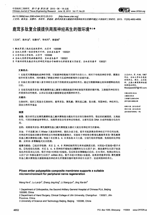 鹿茸多肽复合膜提供周围神经再生的微环境