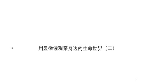 六年级【下】册科学6.用显微镜观察身边的生命世界(二)教科版(32张ppt)公开课课件