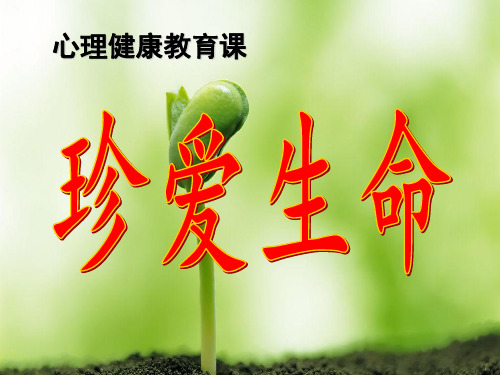 真爱生命课件