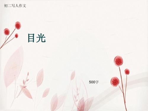 初二写人作文《目光》500字(总8页PPT)