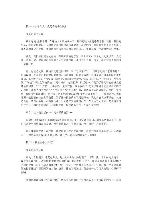 我是合格小公民作文