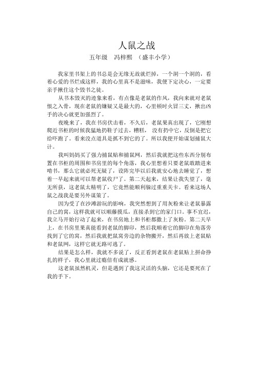 人鼠之战冯梓熙400-500字作文