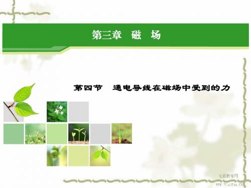 物理选修3-1人教新课标3.4通电导线在磁场中受到的力课件