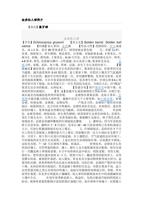 金虎仙人球简介