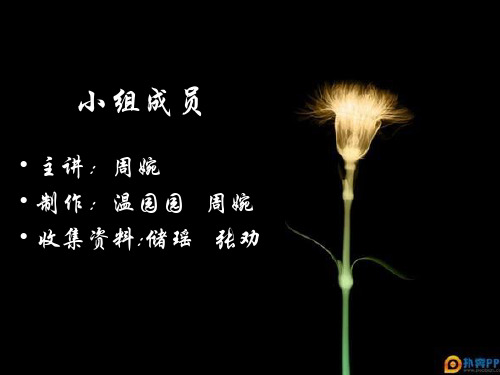 希尔顿案例分析
