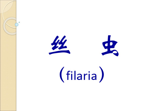 丝   虫(filaria)