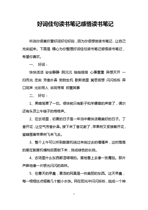 好词佳句读书笔记感悟读书笔记