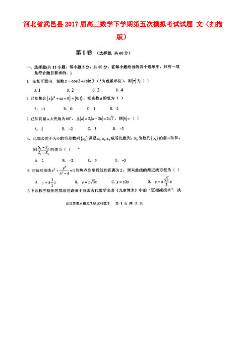 河北省武邑县高三数学下学期第五次模拟考试试题文(扫描版)