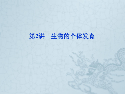 【优化方案】高考生物总复习 第5章第2讲生物的个体发育课件 大纲人教版