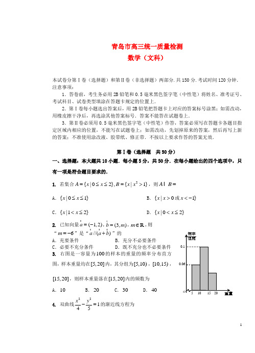 山东省青岛市高三数学3月统一质量检测 文(青岛市一模)