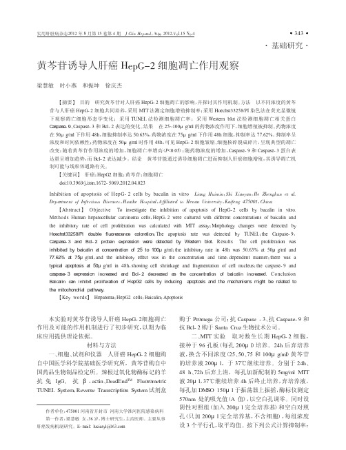 黄芩苷诱导人肝癌HepG_2细胞凋亡作用观察