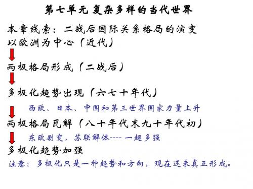 高中历史  两极格局