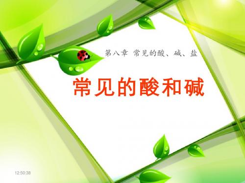 《常见的酸和碱》常见的酸、碱、盐PPT课件常用课件